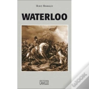 Capa do artigo Waterloo