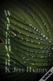 Capa do artigo Watermark