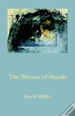 Capa do artigo Waters Of Marah