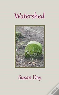 Capa do artigo Watershed