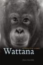 Wattana - Preview