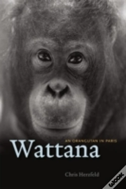 Capa do artigo Wattana