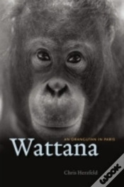 Capa do artigo Wattana