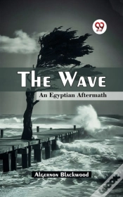 Capa do artigo Wave An Egyptian Aftermath