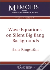 Wave Equations On Silent Big Bang Backgrounds