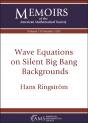 Wave Equations On Silent Big Bang Backgrounds - Preview