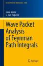 Wave Packet Analysis Of Feynman Path Integrals - Preview