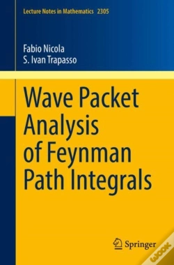 Capa do artigo Wave Packet Analysis Of Feynman Path Integrals