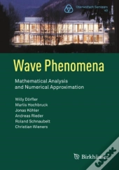 Wave Phenomena