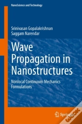 Wave Propagation In Nanostructures