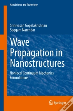 Capa do artigo Wave Propagation In Nanostructures