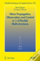 Wave Propagation, Observation And Control In 1-D Flexible Multi-Structures