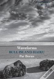 Capa do artigo Waveforms: Bull Island Haiku