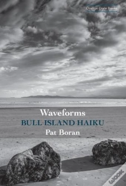 Capa do artigo Waveforms: Bull Island Haiku