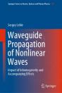 Waveguide Propagation Of Nonlinear Waves - Preview