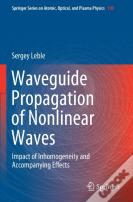 Waveguide Propagation Of Nonlinear Waves
