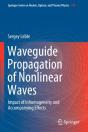 Waveguide Propagation Of Nonlinear Waves - Preview