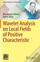 Wavelet Analysis On Local Fields Of Positive Characteristic