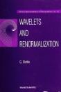 Wavelets And Renormalization - Preview