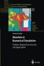 Wavelets In Numerical Simulation - Preview