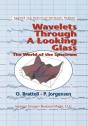 Wavelets Through A Looking Glass - Preview