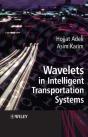 Wavelets To Enhance Computational Intelligence - Preview
