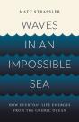 Waves In An Impossible Sea - Preview