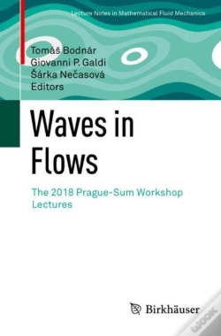 Capa do artigo Waves In Flows