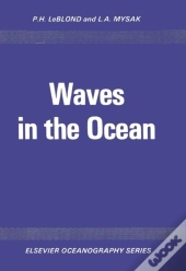 Waves In The Ocean