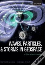 Waves, Particles, And Storms In Geospace