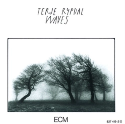 Capa do artigo Waves - Vinil