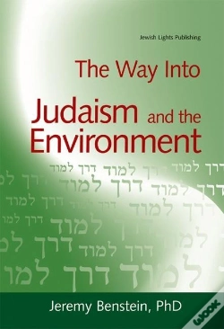 Capa do artigo Way Into Judaism And The Environment