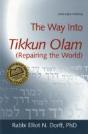 Way Into Tikkun Olam - Preview