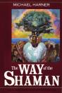 Way Of The Shaman - Preview