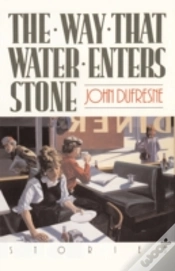 Capa do artigo Way That Water Enters Stone