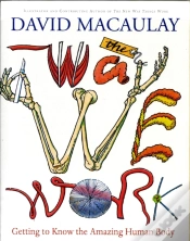 Capa do artigo Way We Work