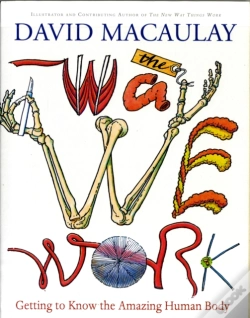 Capa do artigo Way We Work