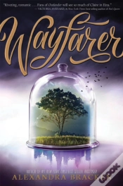 Capa do artigo Wayfarer