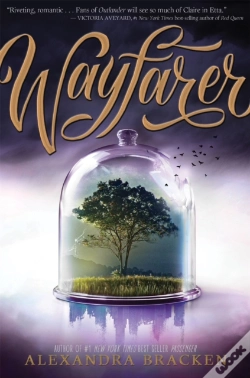 Capa do artigo Wayfarer