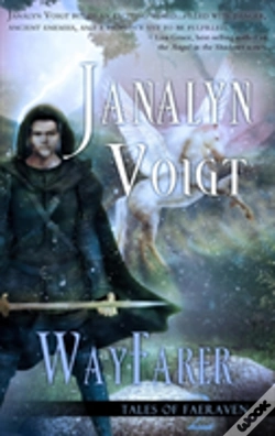 Capa do artigo Wayfarer