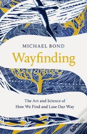 Capa do artigo Wayfinding