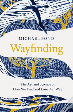 Capa do artigo Wayfinding
