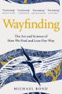 Wayfinding - Preview