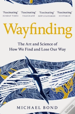 Capa do artigo Wayfinding