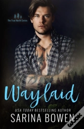 Capa do artigo Waylaid