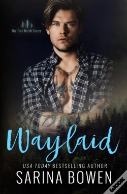 Capa do artigo Waylaid