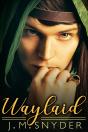Waylaid - Preview
