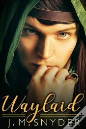 Capa do artigo Waylaid
