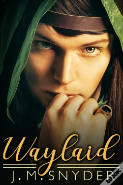 Capa do artigo Waylaid