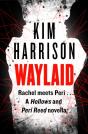 Waylaid - Preview